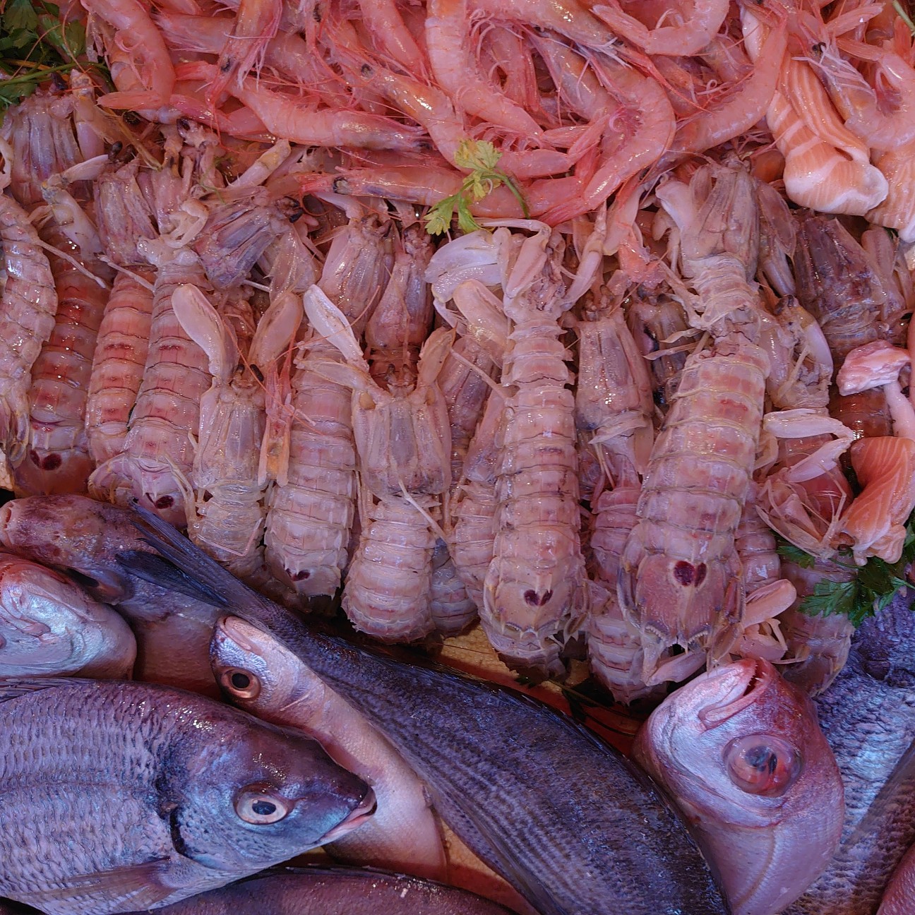 f:id:tomoeagle:20191112090843j:plain