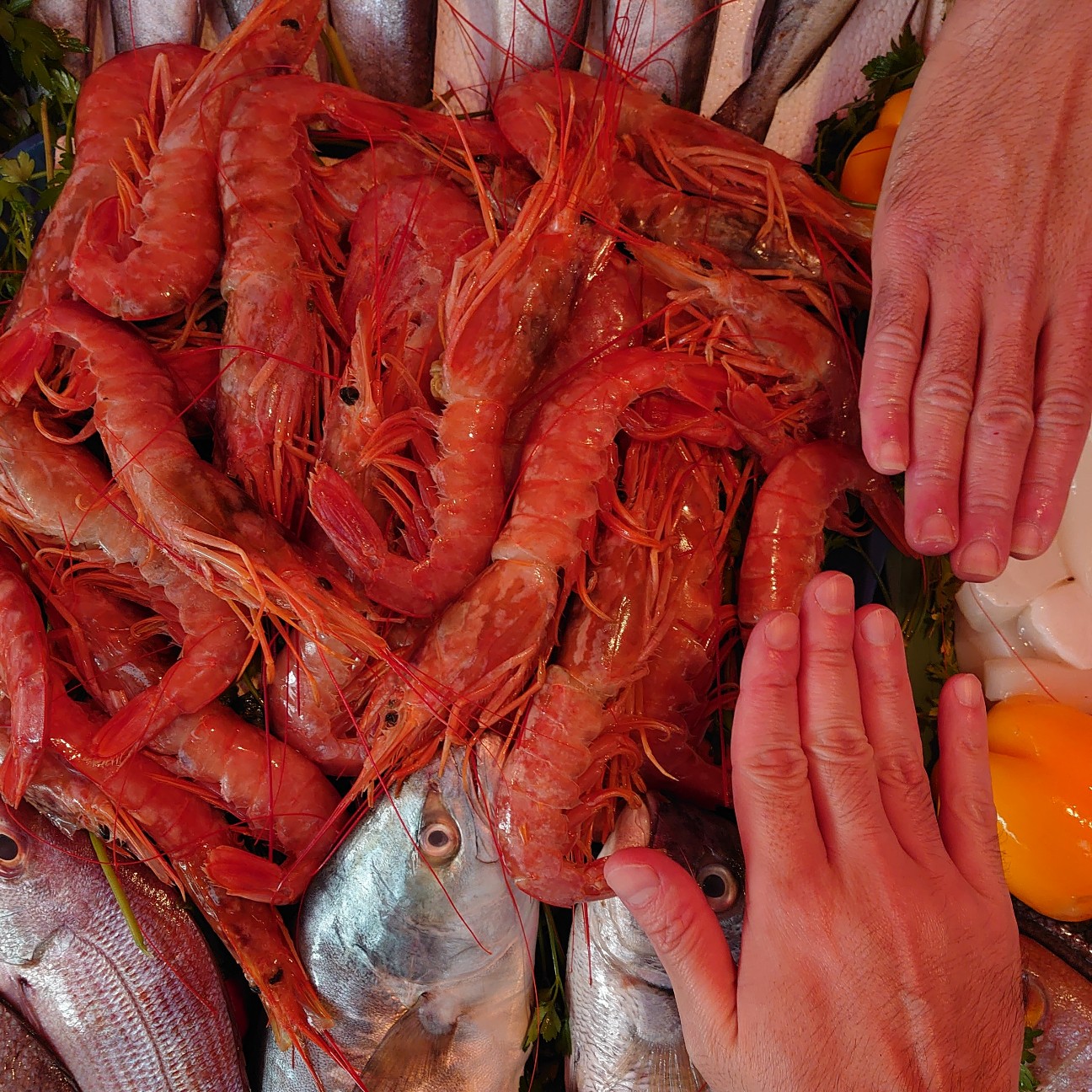 f:id:tomoeagle:20191112090956j:plain