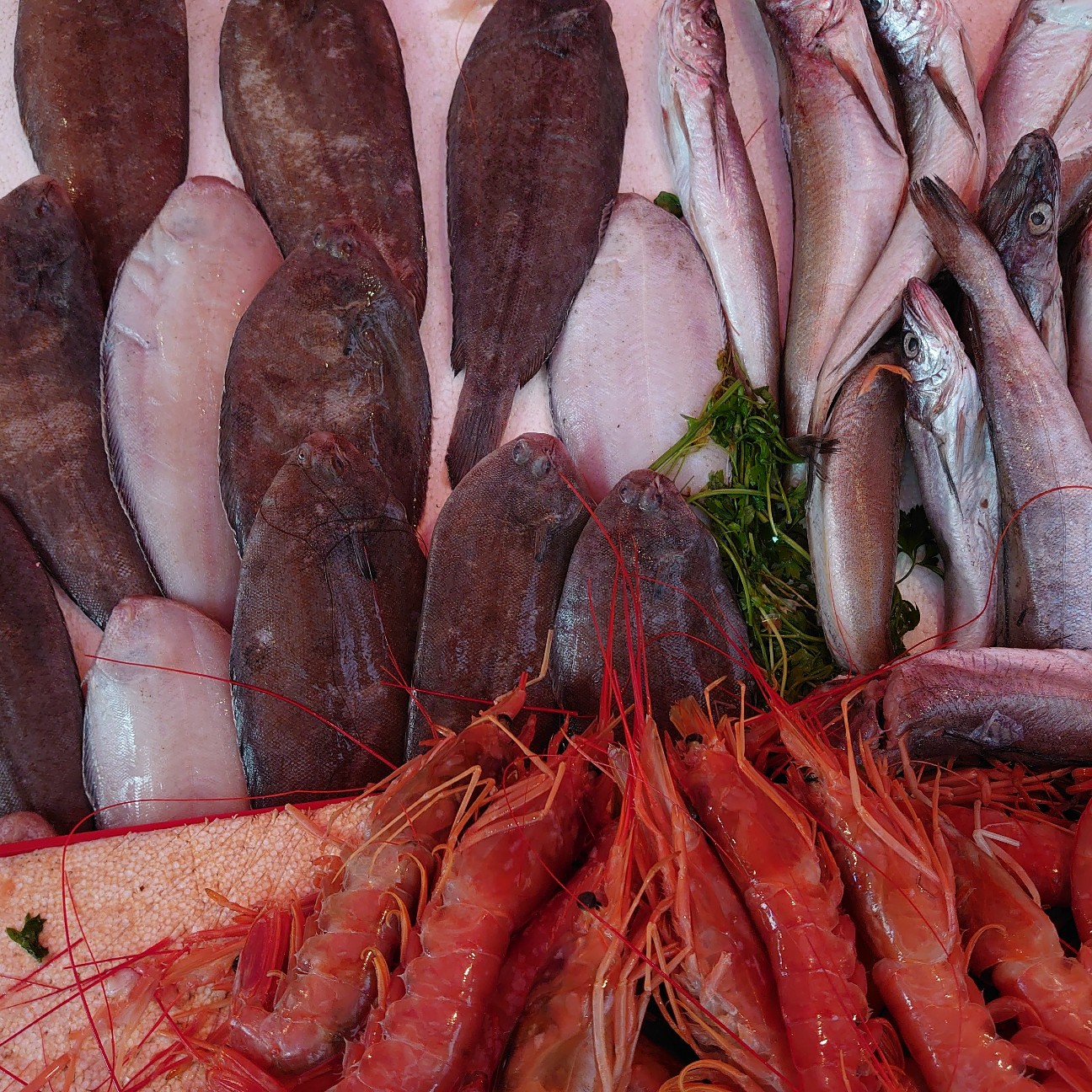 f:id:tomoeagle:20191112091208j:plain