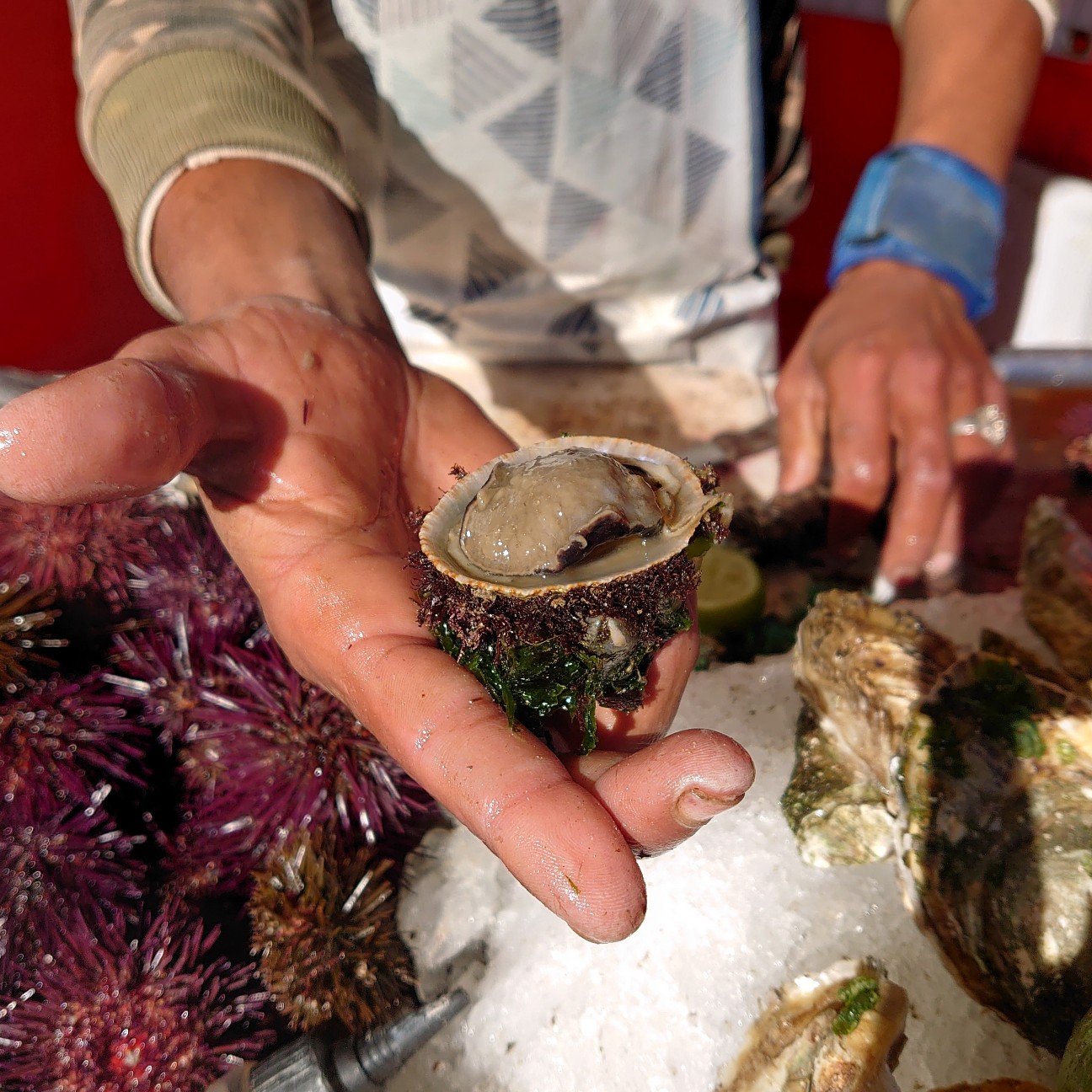 f:id:tomoeagle:20191113181340j:plain