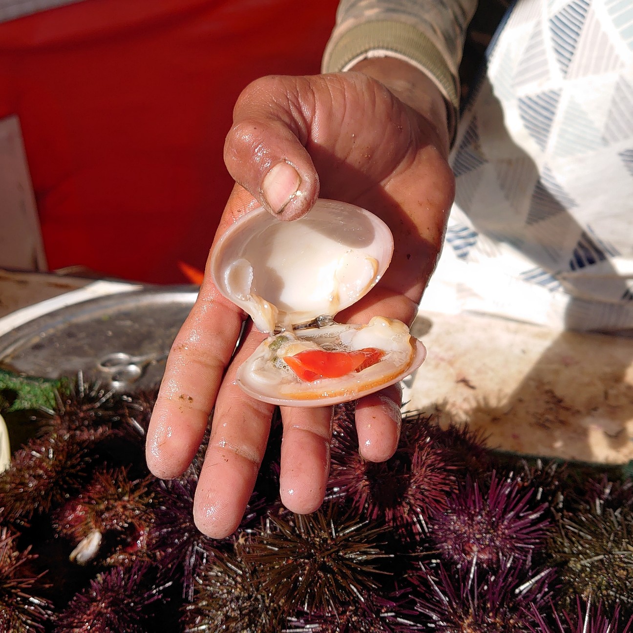 f:id:tomoeagle:20191113181359j:plain