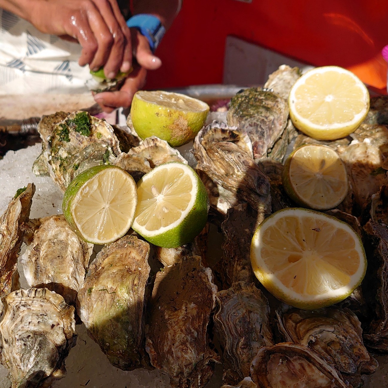 f:id:tomoeagle:20191113181404j:plain