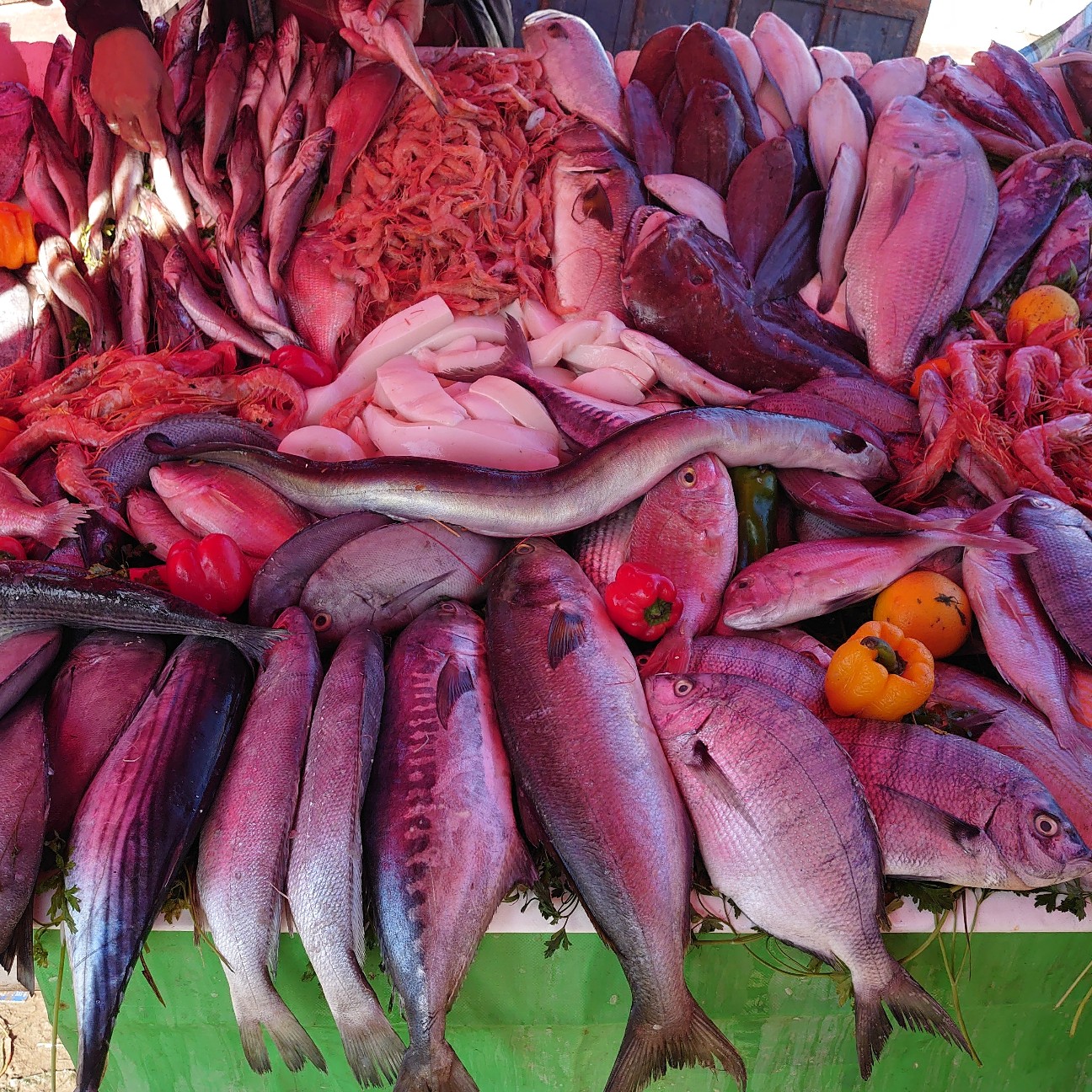 f:id:tomoeagle:20191113181930j:plain