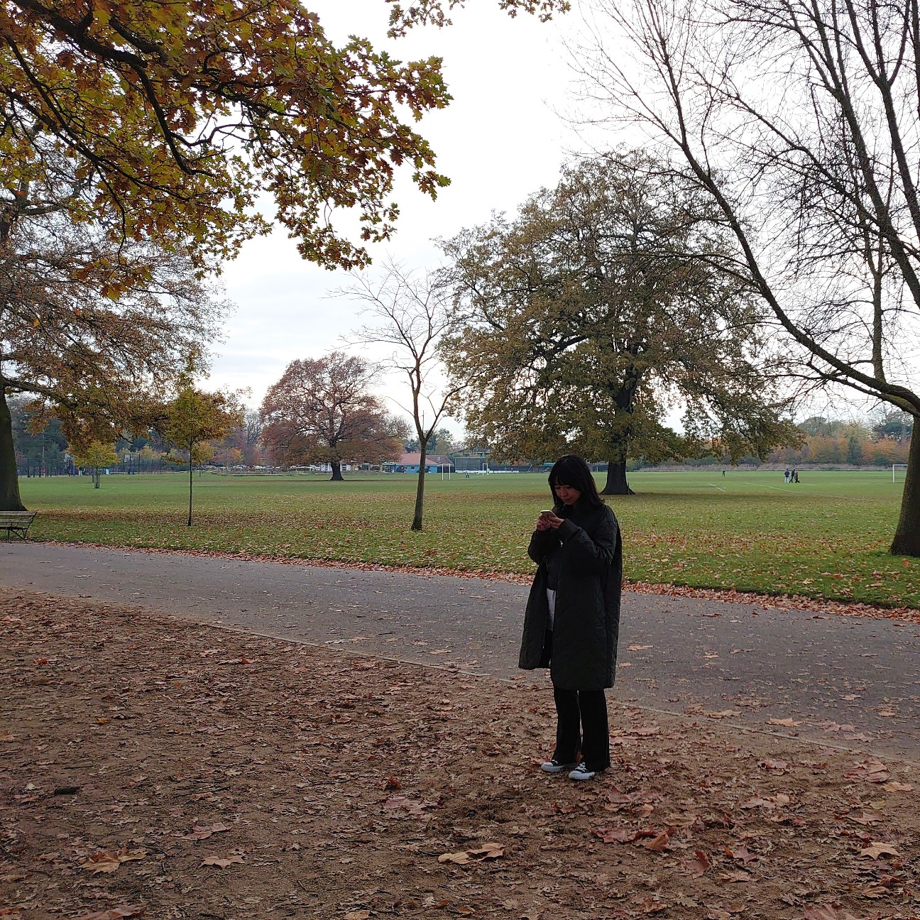 f:id:tomoeagle:20191118180724j:plain