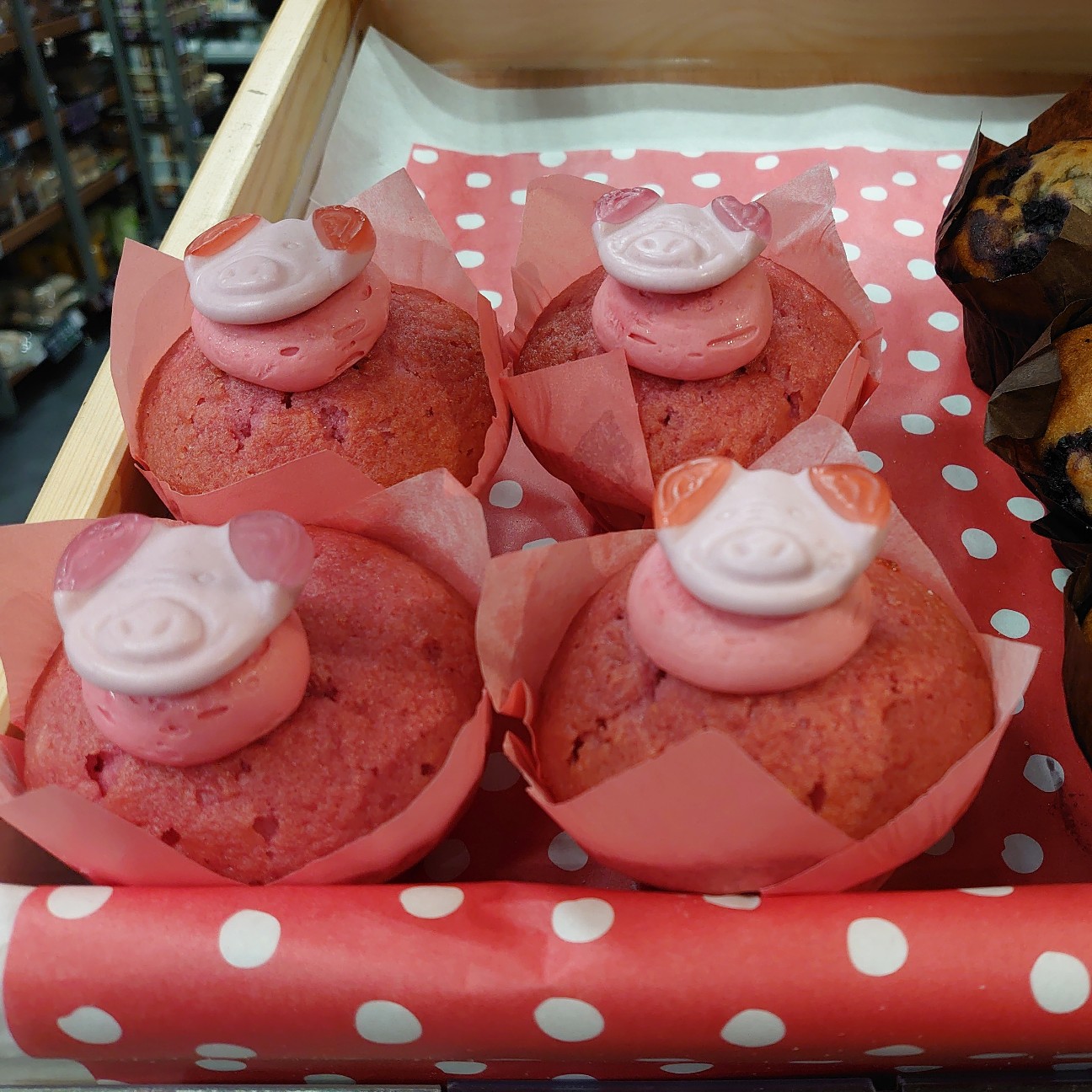 f:id:tomoeagle:20191118180803j:plain