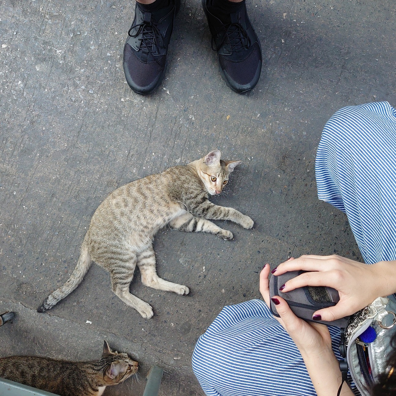 f:id:tomoeagle:20191211202624j:plain