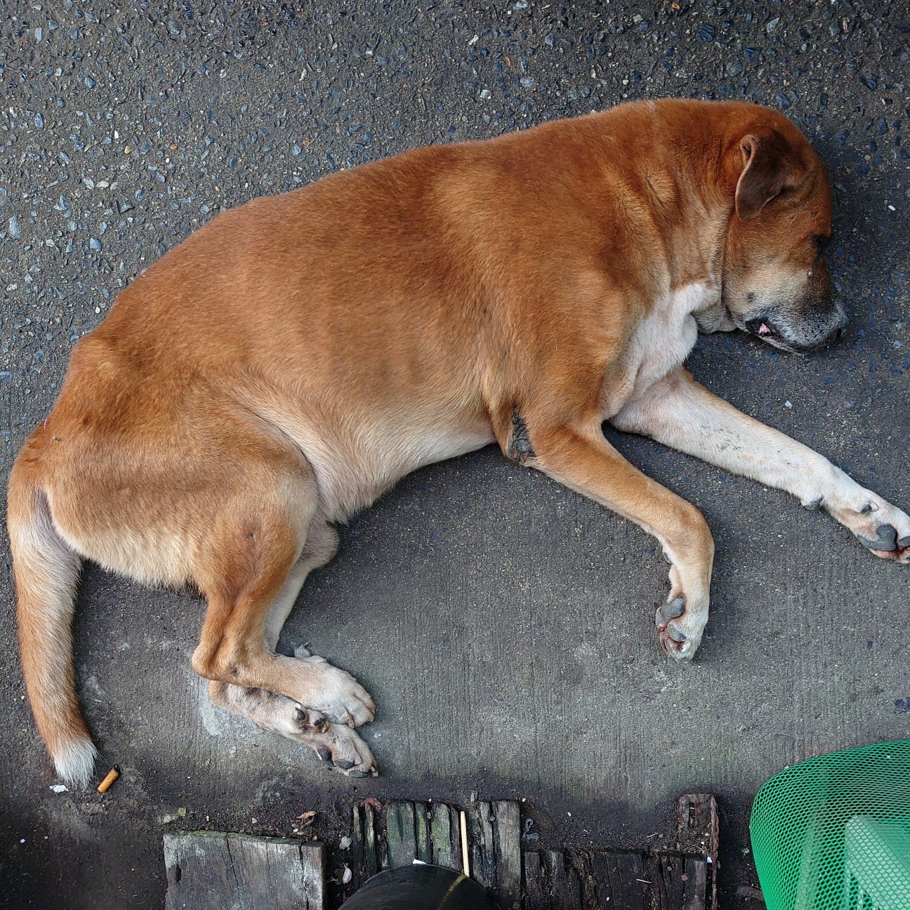 f:id:tomoeagle:20191211202657j:plain