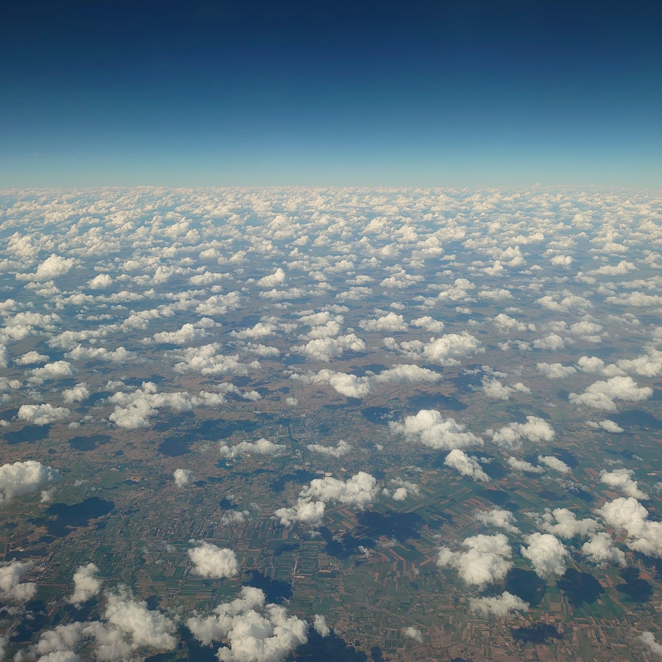 f:id:tomoeagle:20191211203207j:plain