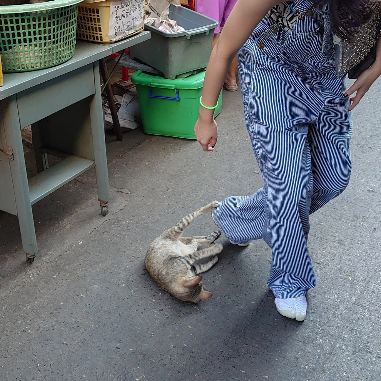 f:id:tomoeagle:20191211203222j:plain