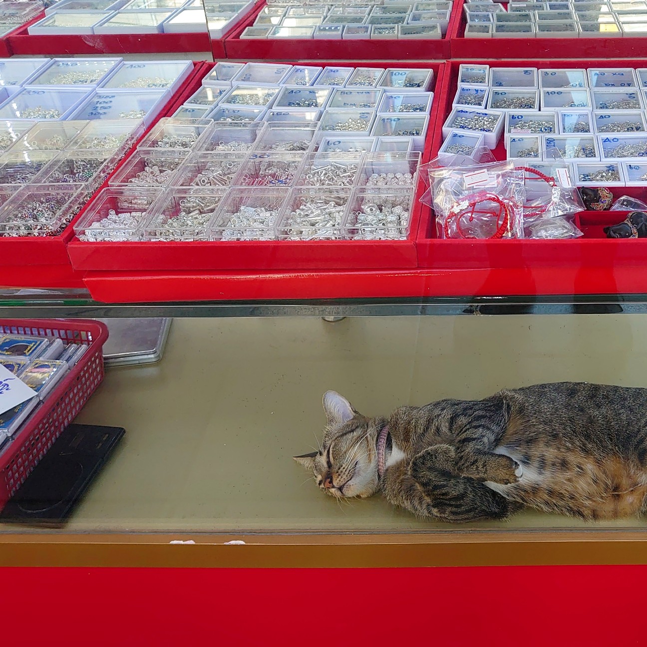 f:id:tomoeagle:20191211203232j:plain