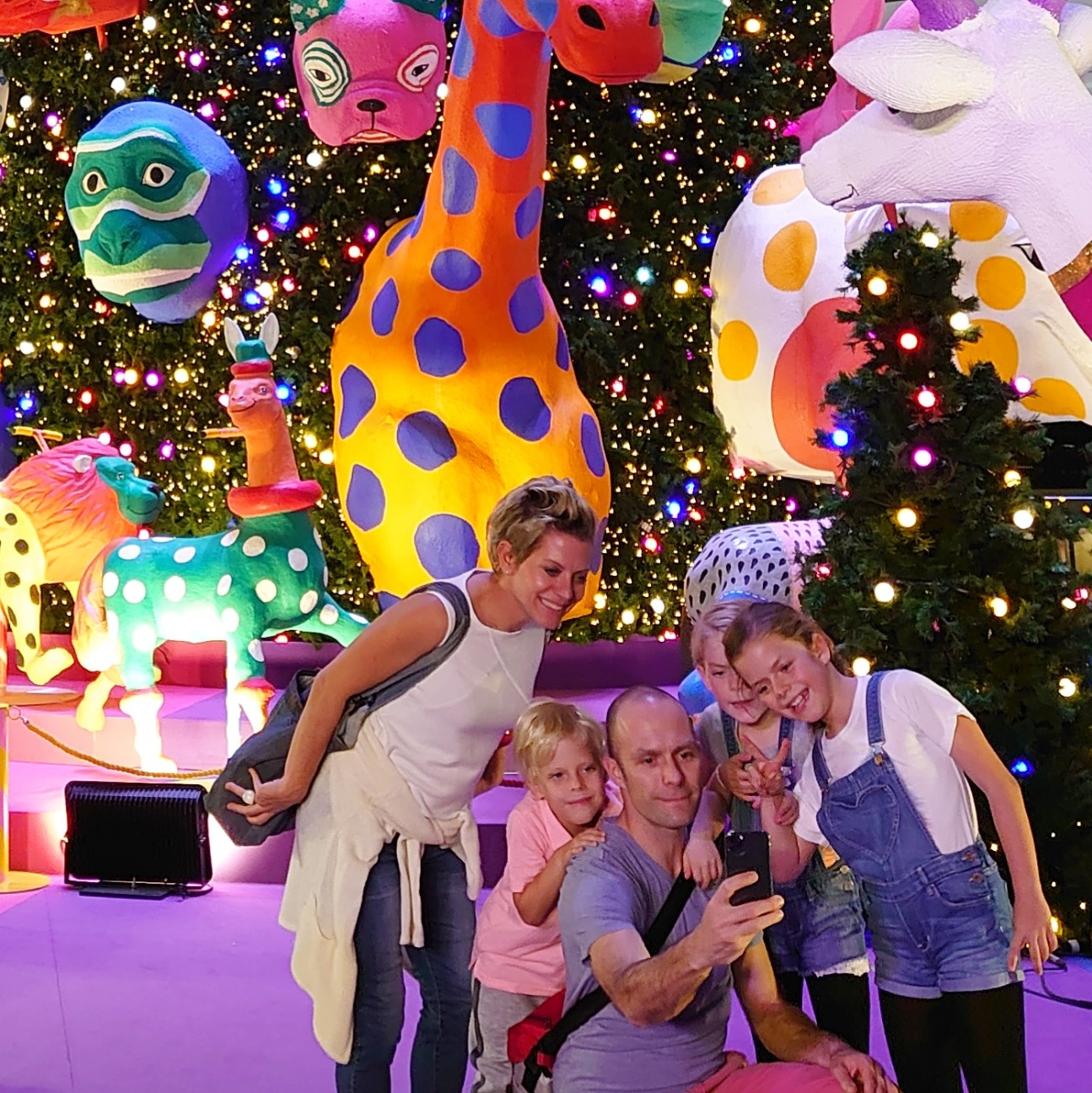 f:id:tomoeagle:20191211203257j:plain