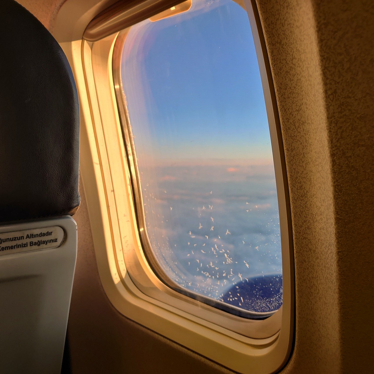 f:id:tomoeagle:20191219210408j:plain