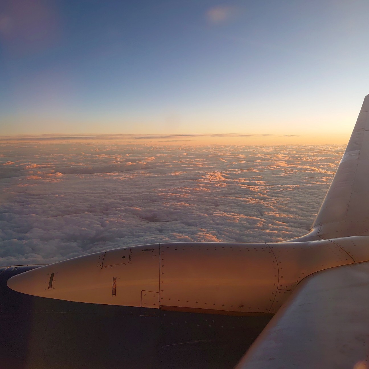 f:id:tomoeagle:20191219210413j:plain