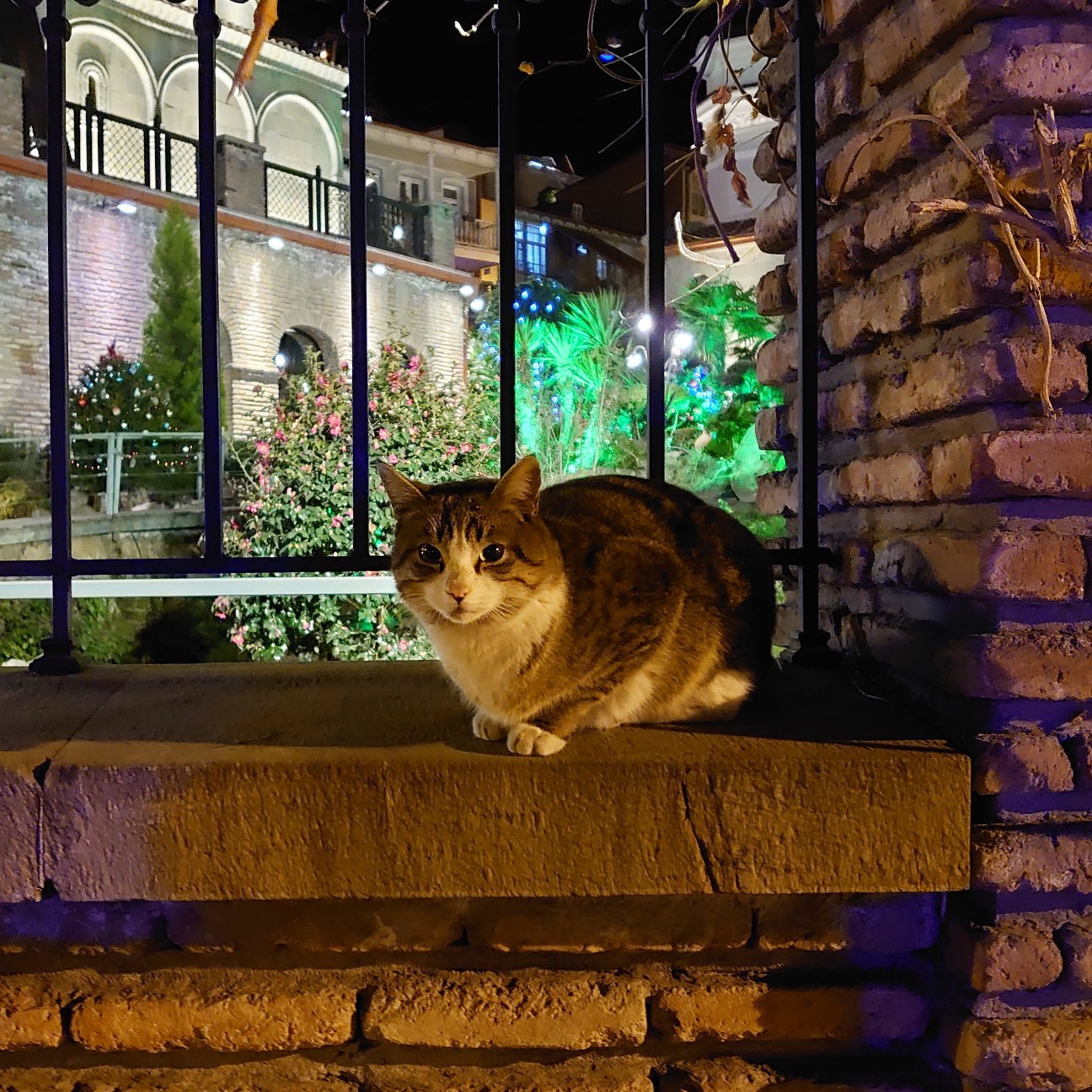 f:id:tomoeagle:20191219210444j:plain