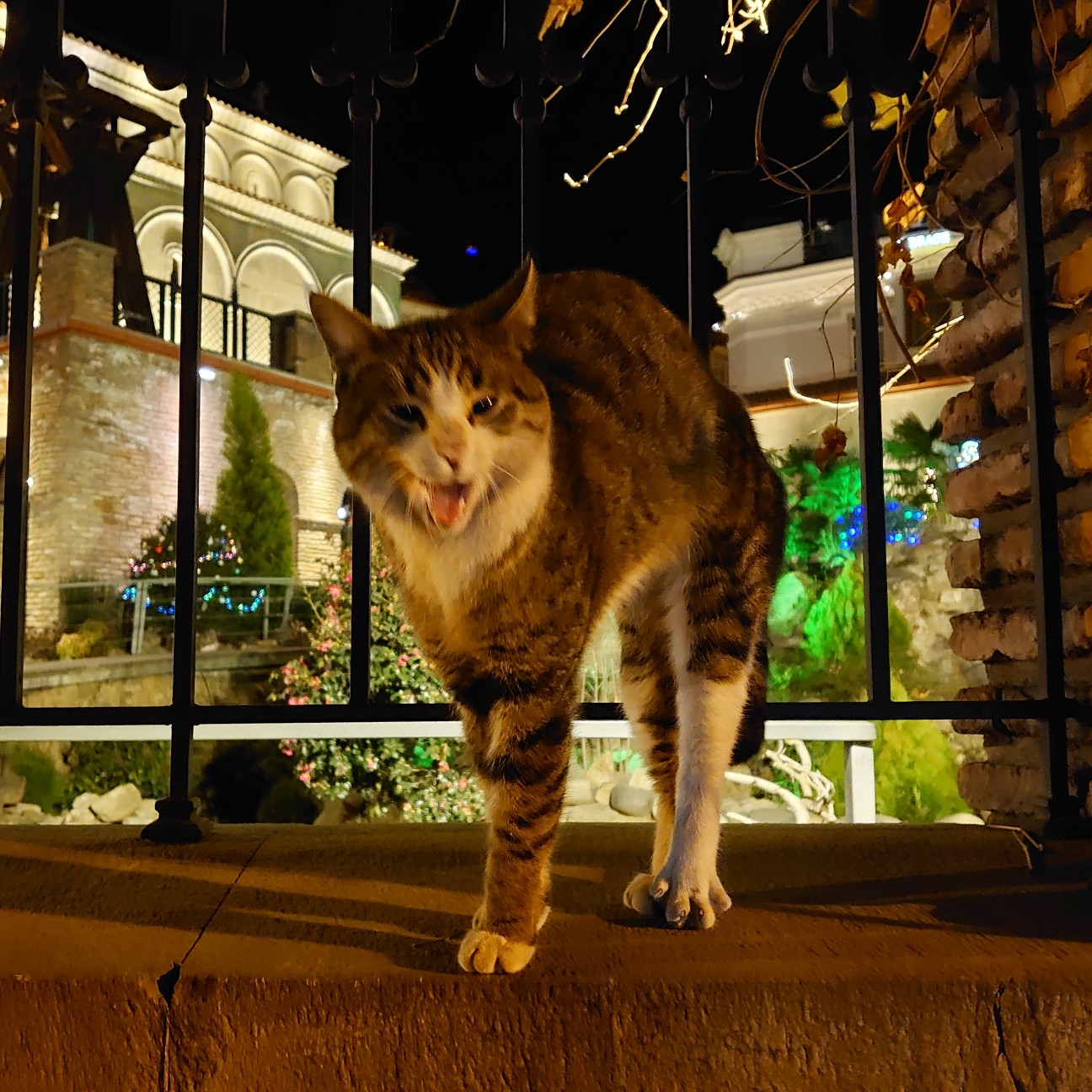 f:id:tomoeagle:20191219210451j:plain