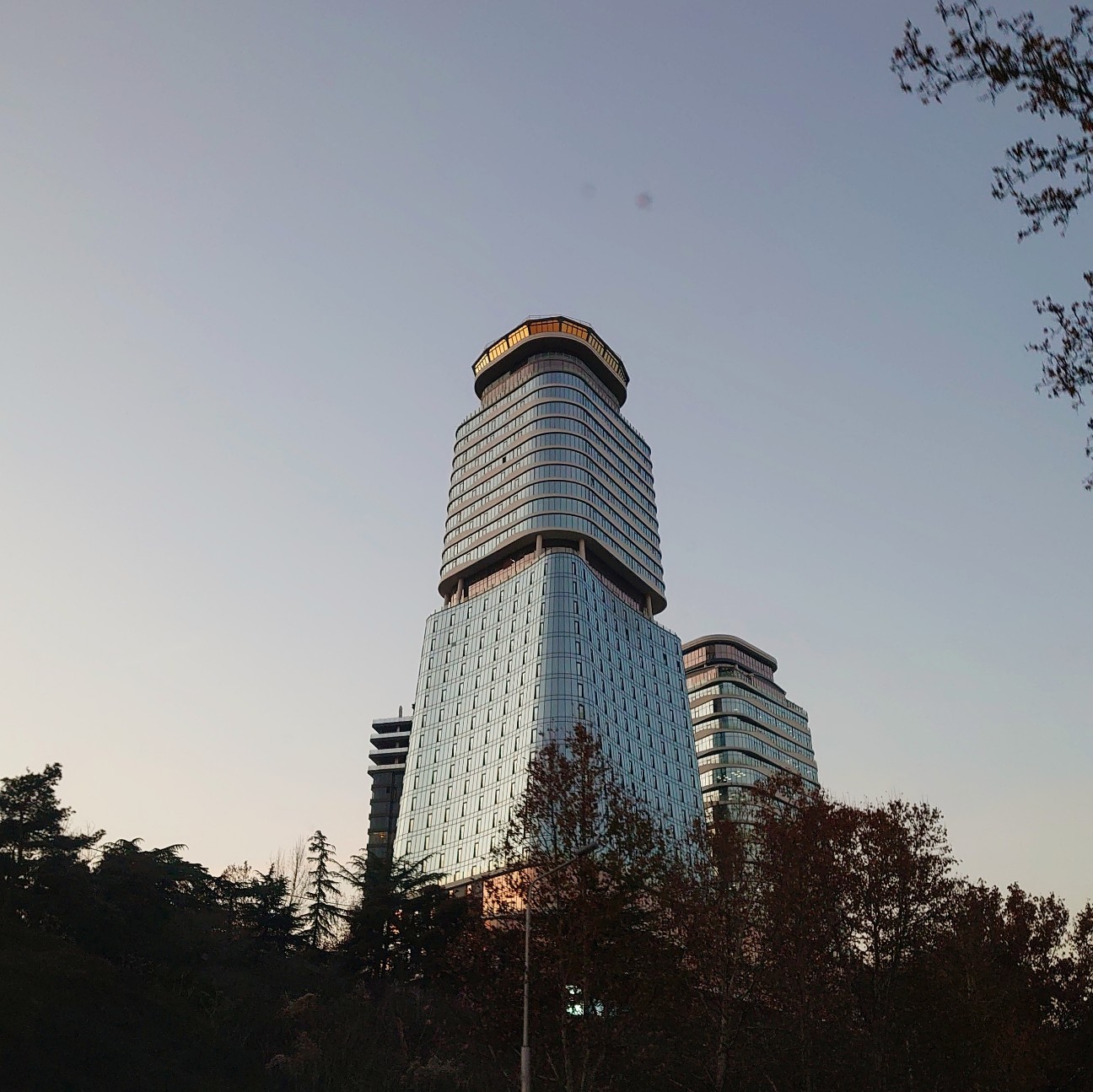 f:id:tomoeagle:20191220202206j:plain
