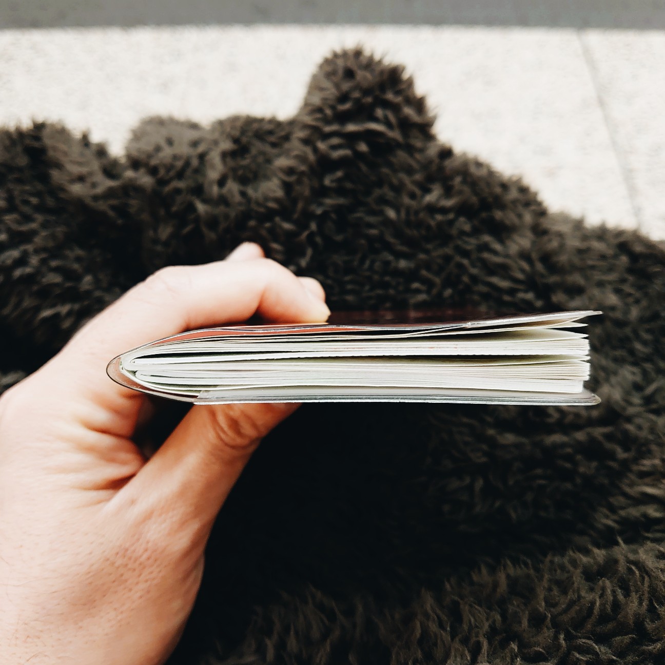 f:id:tomoeagle:20200116020409j:plain f:id:tomoeagle:20200116020409j:plain