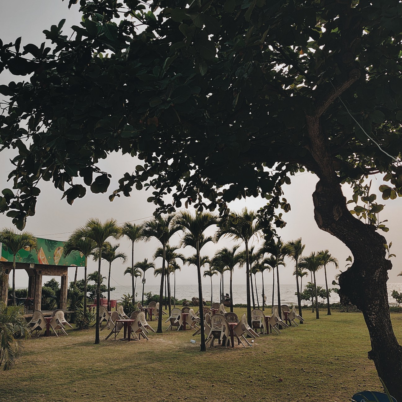 f:id:tomoeagle:20200129191753j:plain