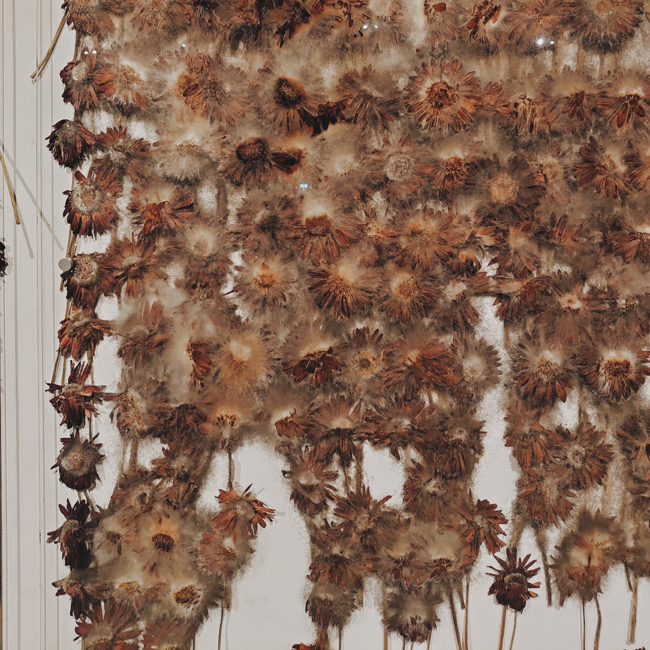 f:id:tomoeagle:20200203181952j:plain