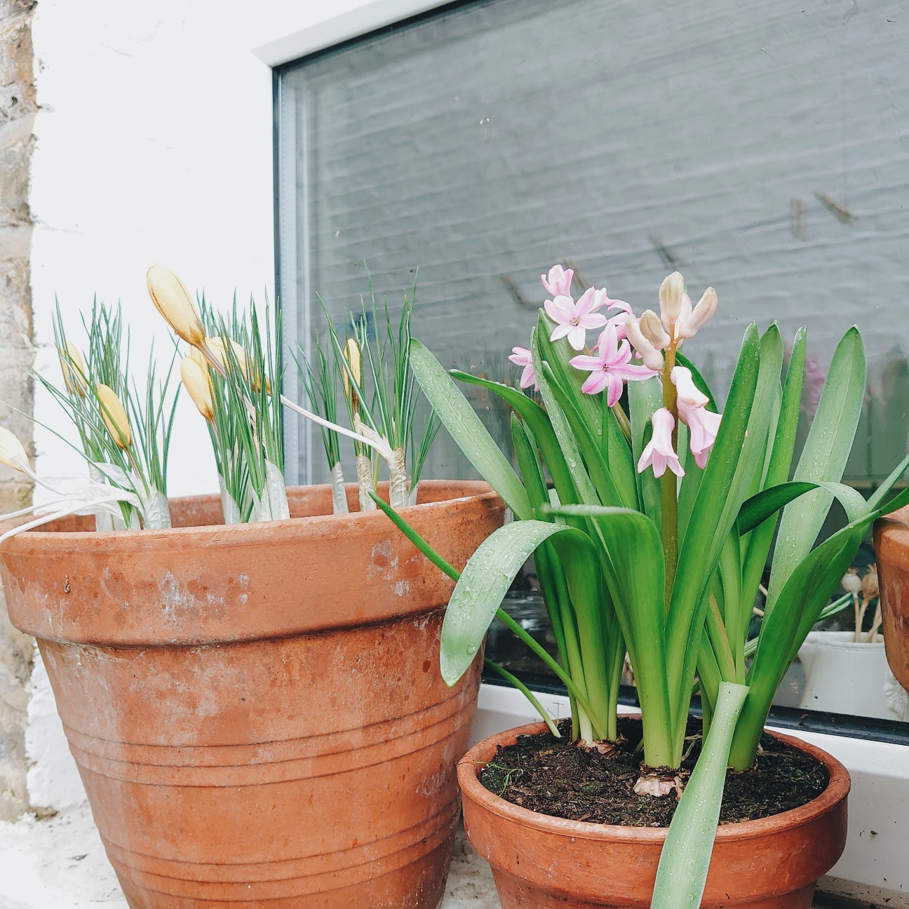 f:id:tomoeagle:20200210181412j:plain