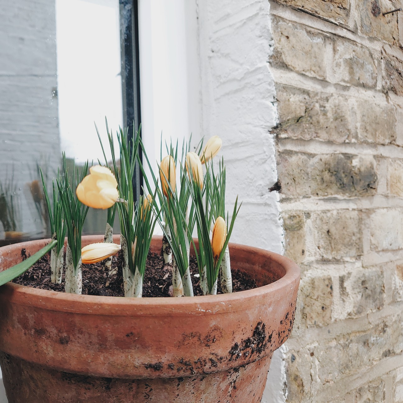 f:id:tomoeagle:20200210224026j:plain