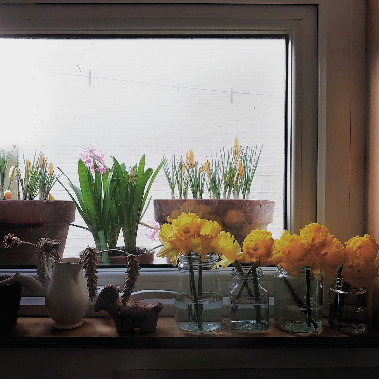 f:id:tomoeagle:20200217184947j:plain