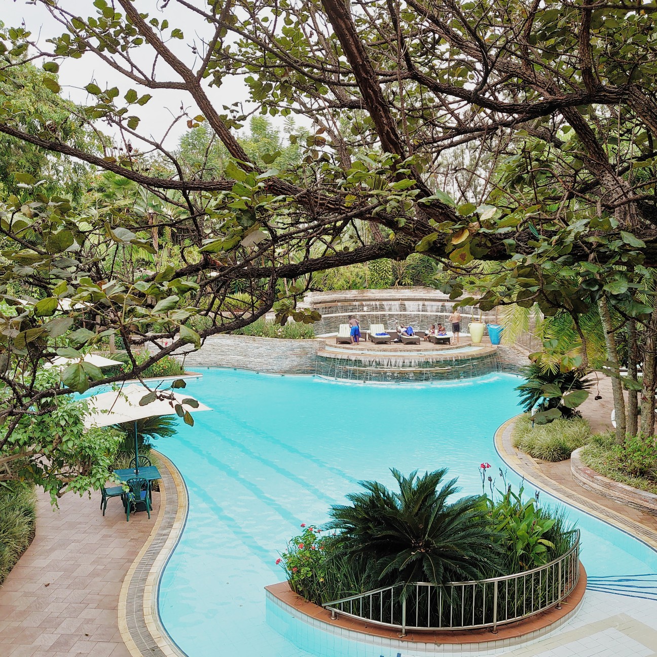 f:id:tomoeagle:20200227033104j:plain