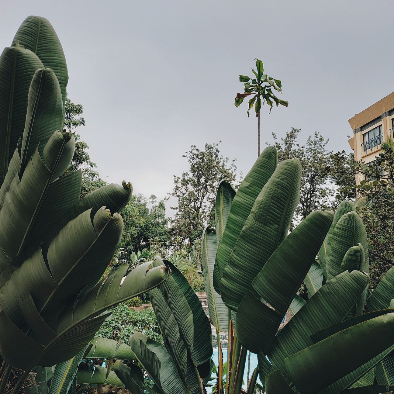 f:id:tomoeagle:20200227033308j:plain