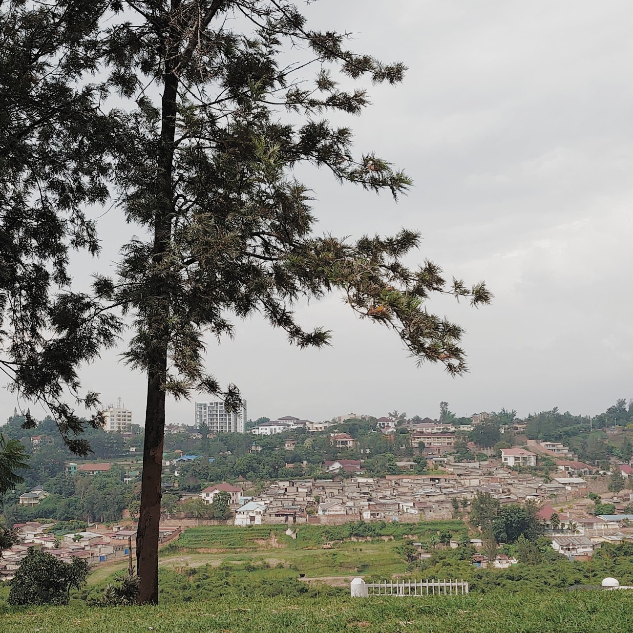 f:id:tomoeagle:20200227033544j:plain