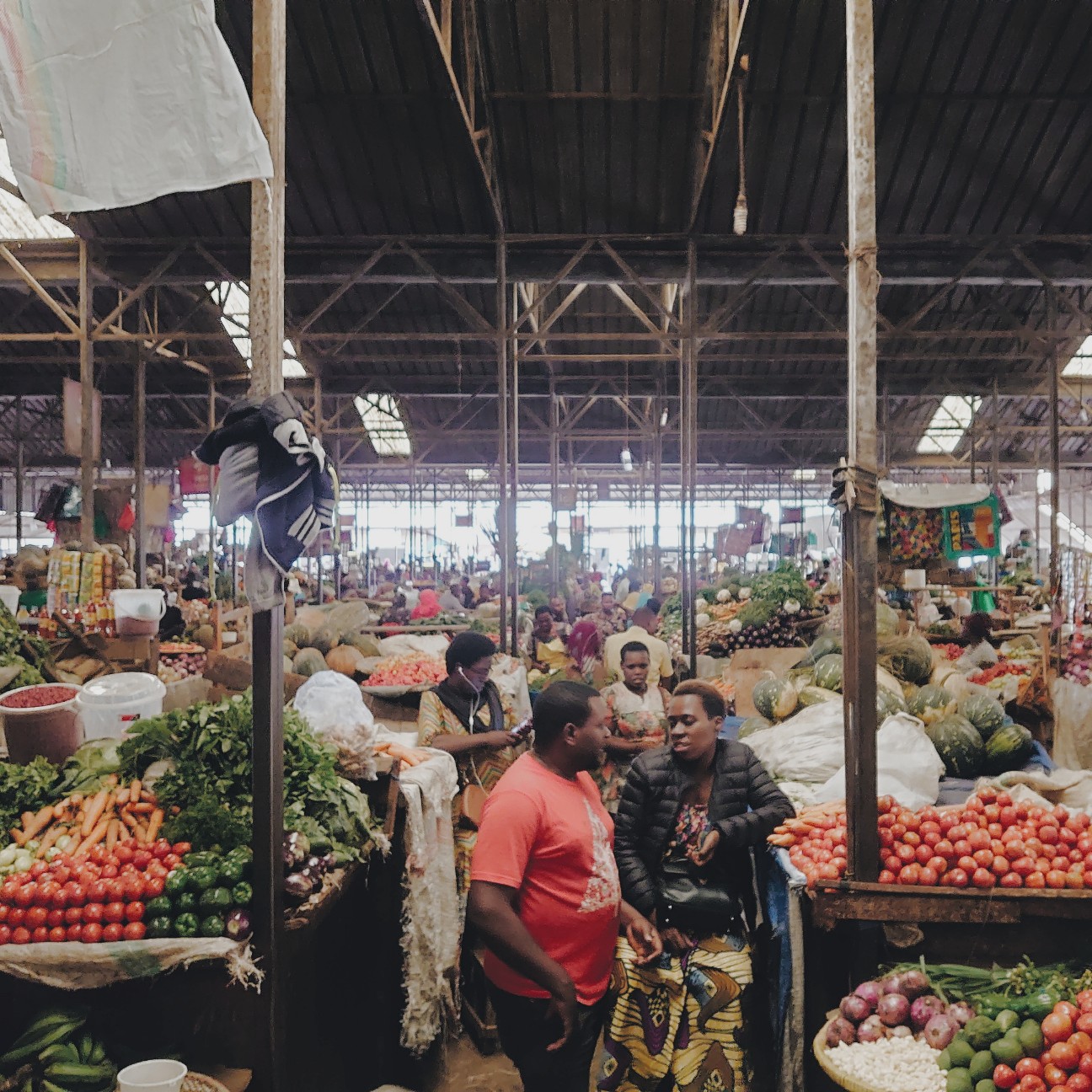 f:id:tomoeagle:20200227034123j:plain