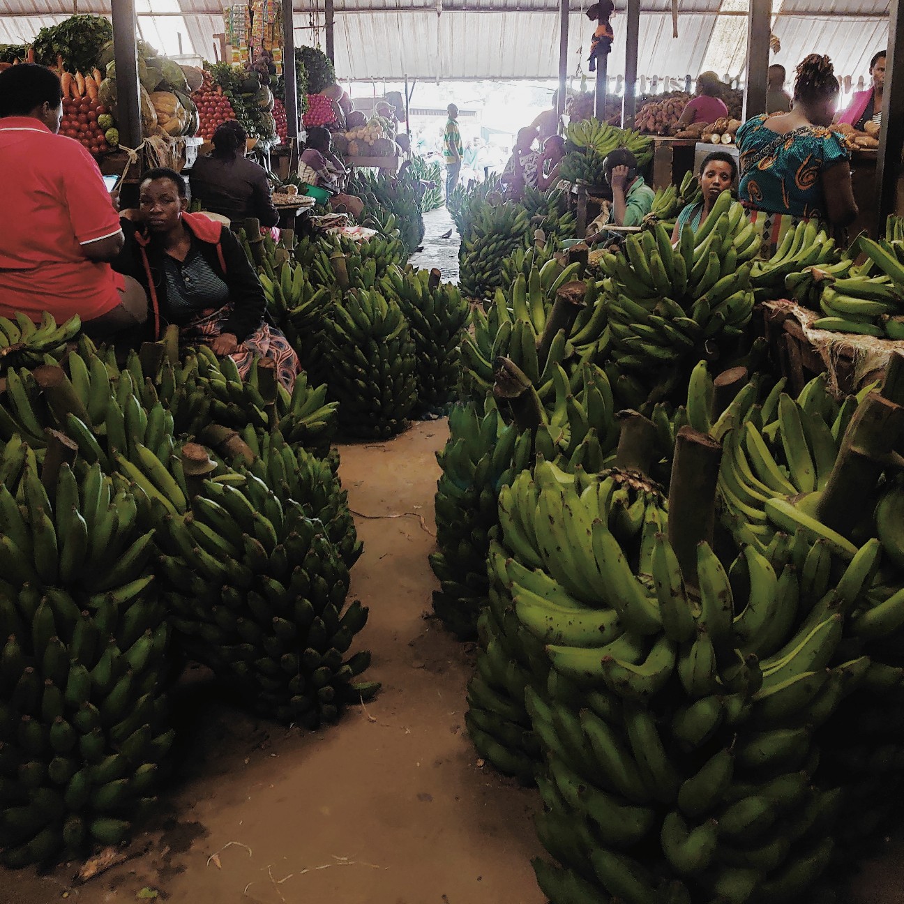 f:id:tomoeagle:20200227034927j:plain