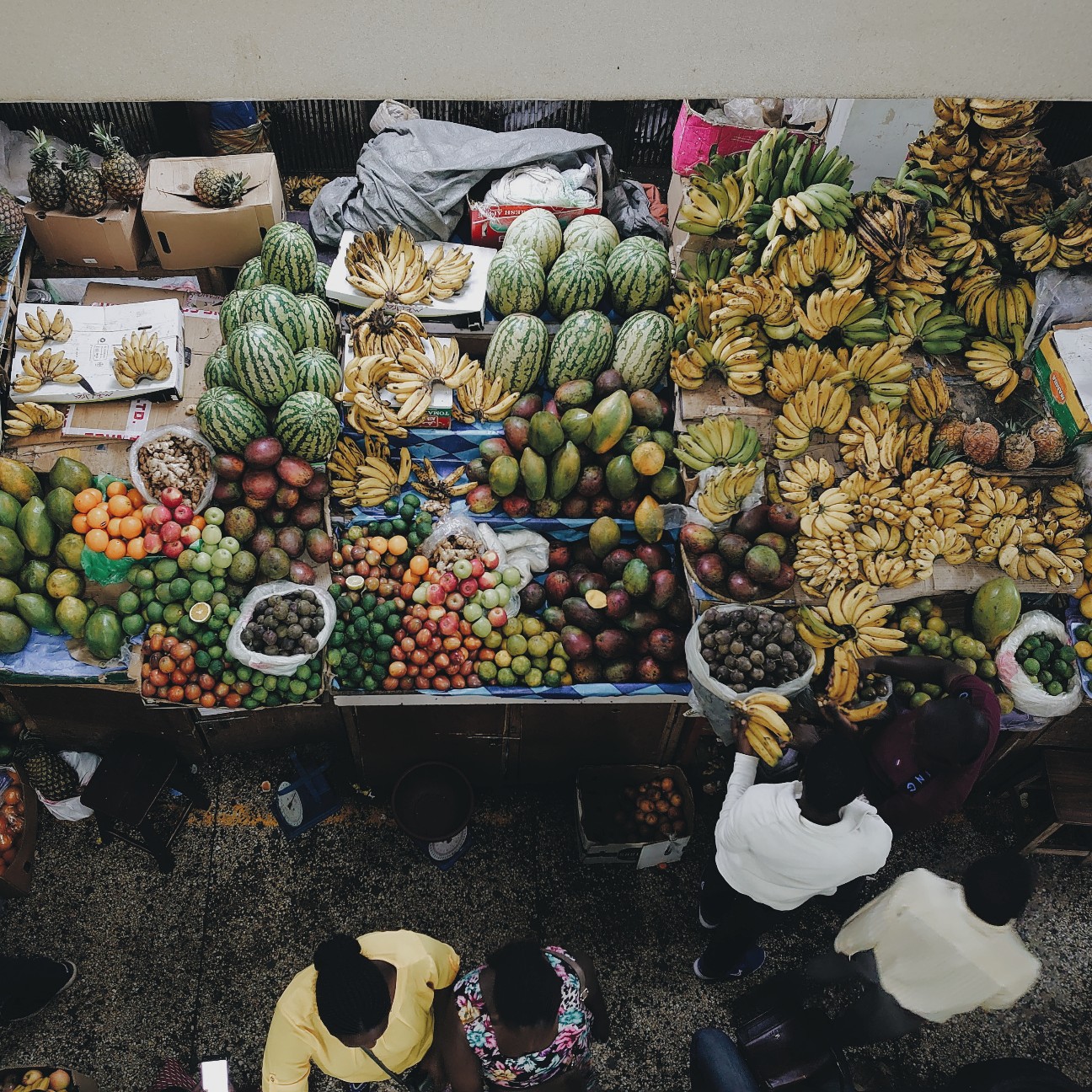 f:id:tomoeagle:20200227035728j:plain