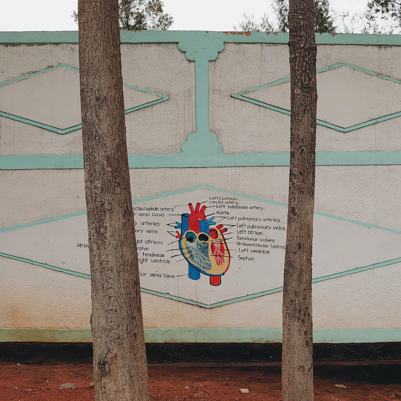 f:id:tomoeagle:20200228061044j:plain