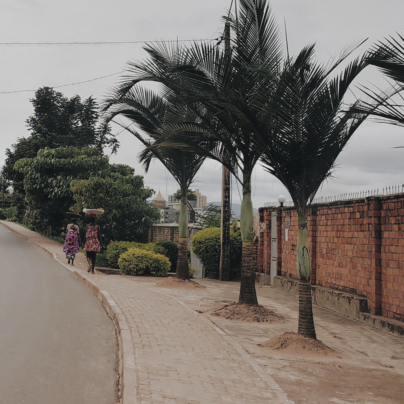 f:id:tomoeagle:20200228061328j:plain