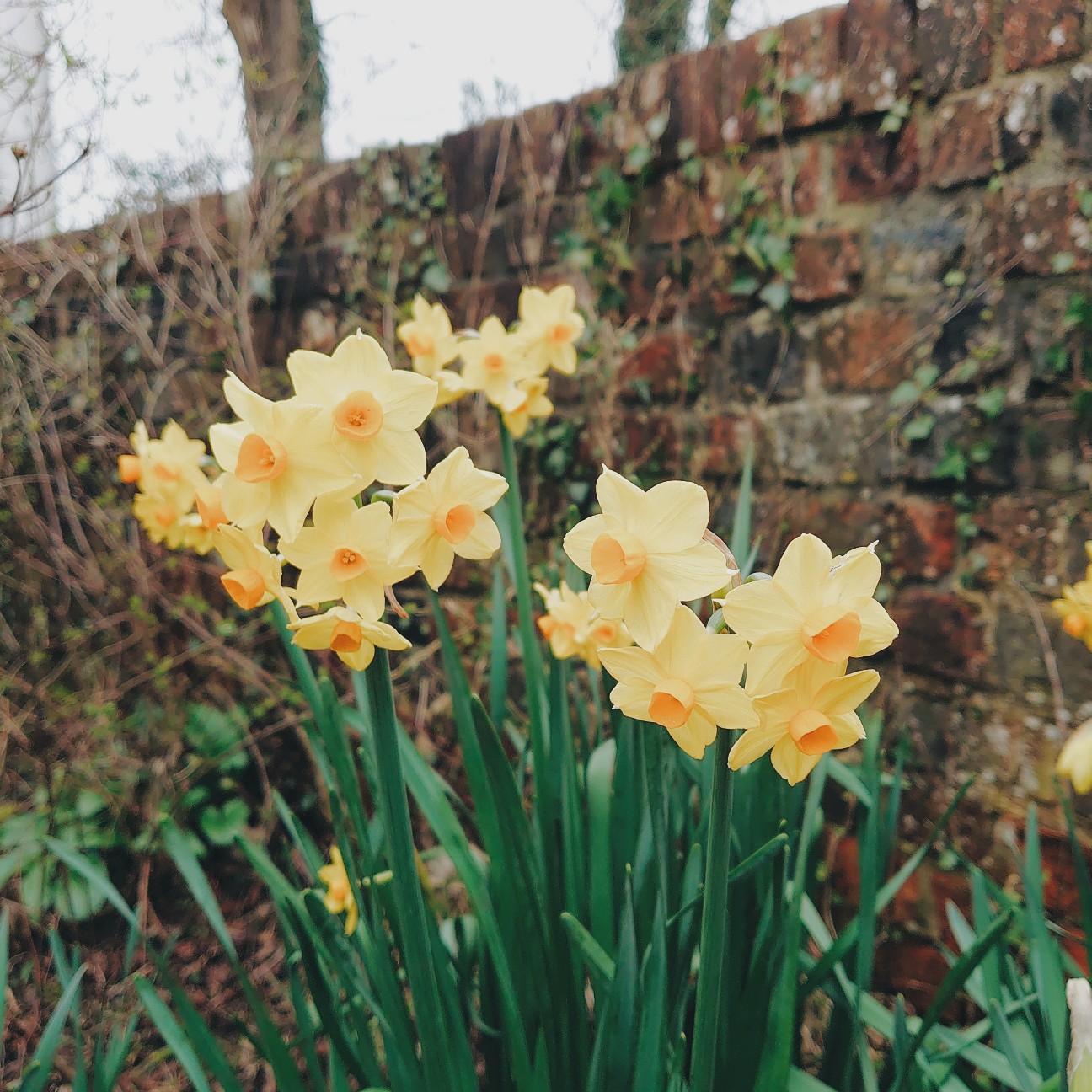 f:id:tomoeagle:20200309192623j:plain