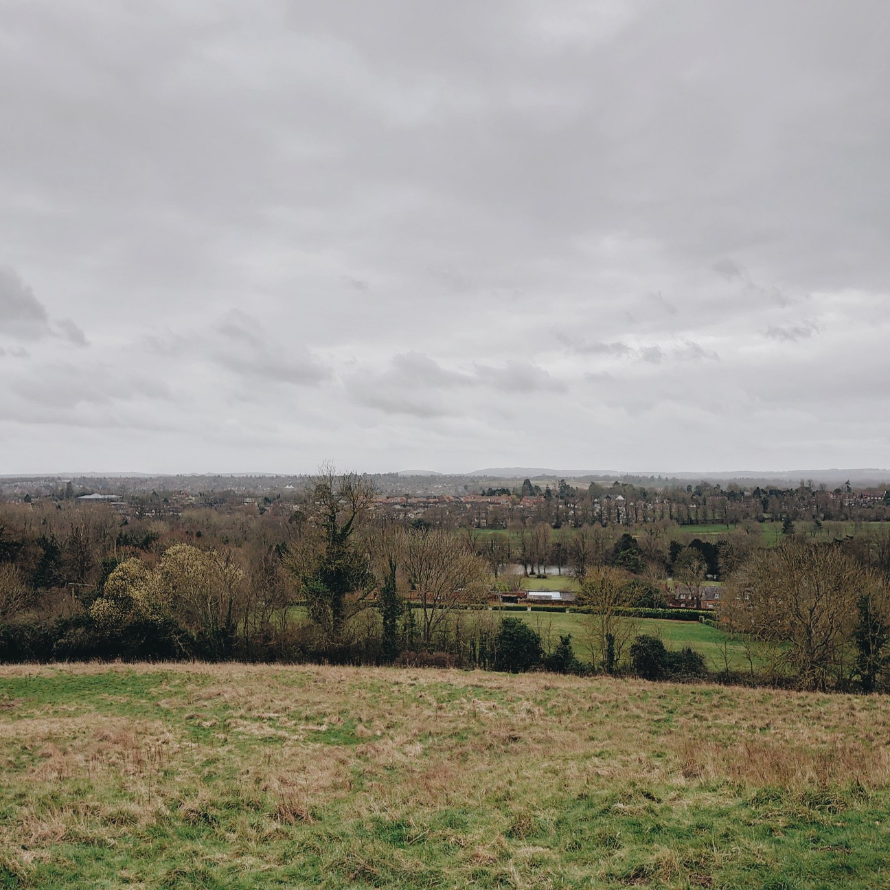 f:id:tomoeagle:20200309192635j:plain