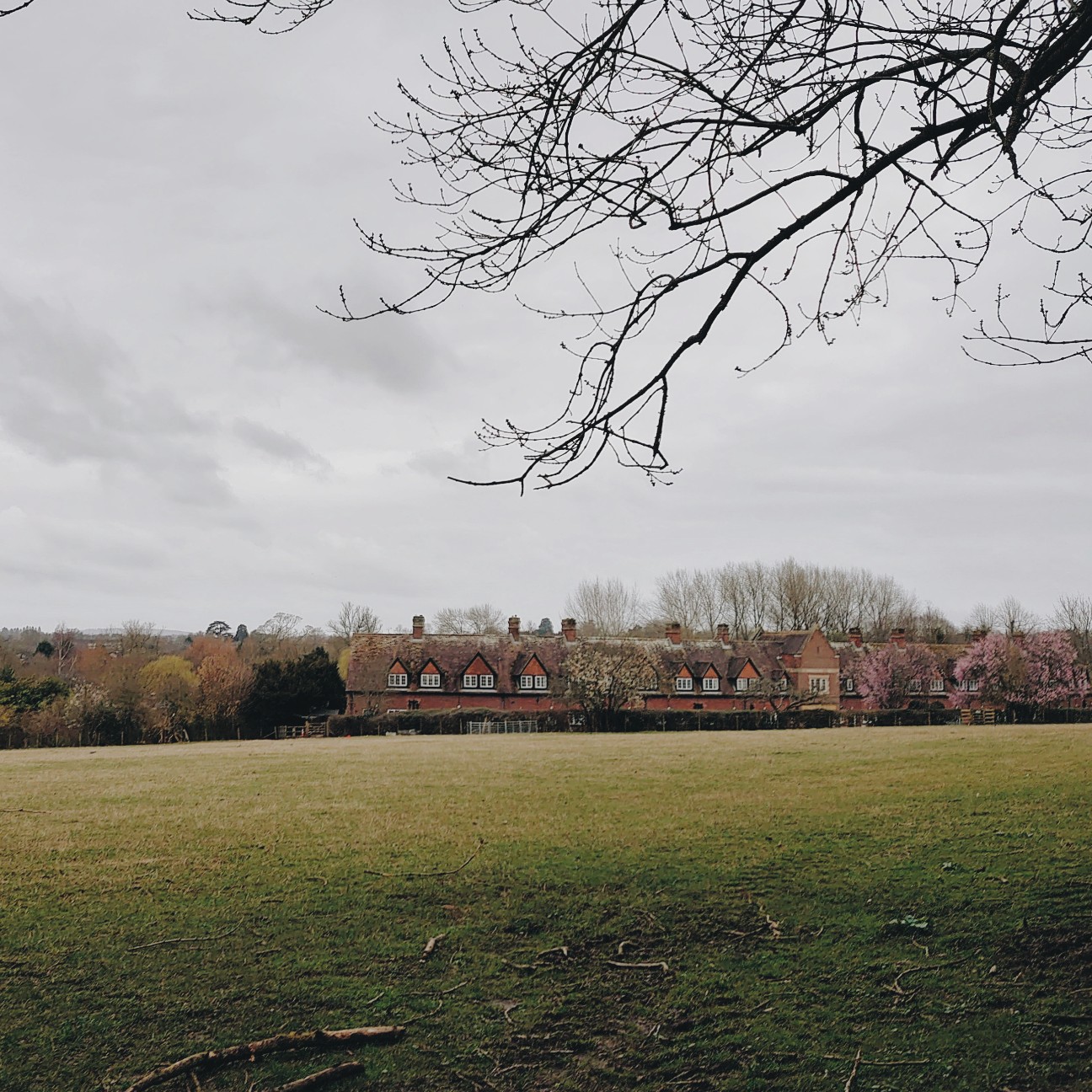 f:id:tomoeagle:20200309192639j:plain