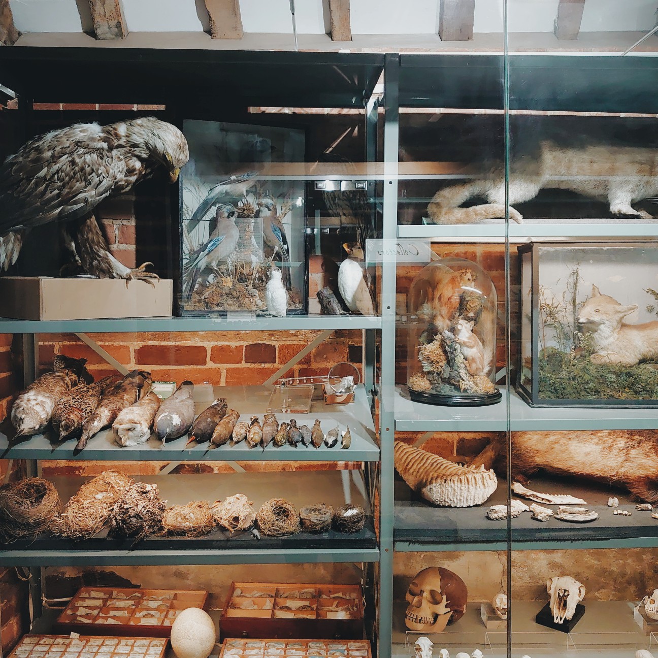 f:id:tomoeagle:20200317175613j:plain