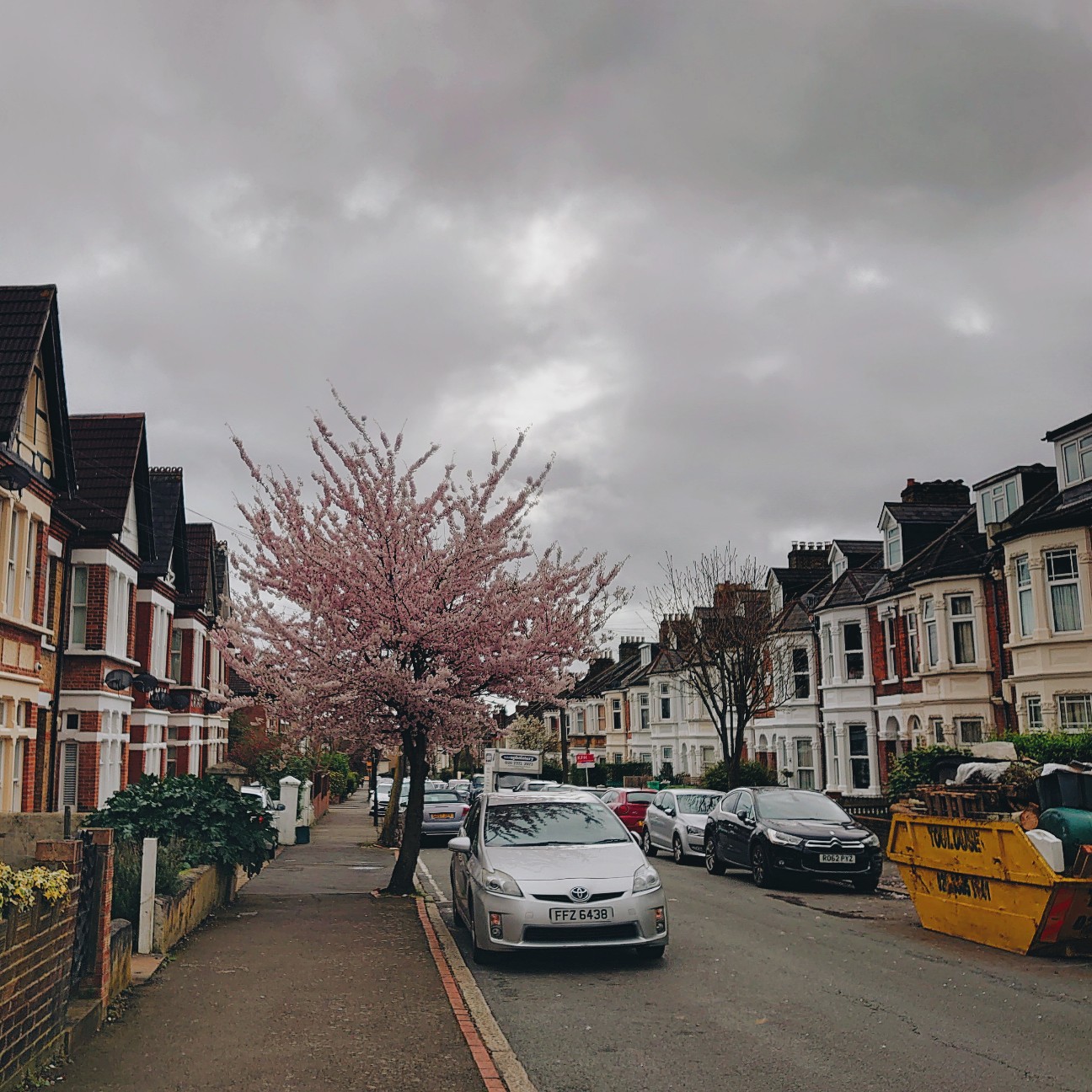 f:id:tomoeagle:20200317175729j:plain