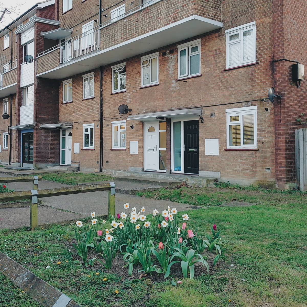 f:id:tomoeagle:20200328054632j:plain