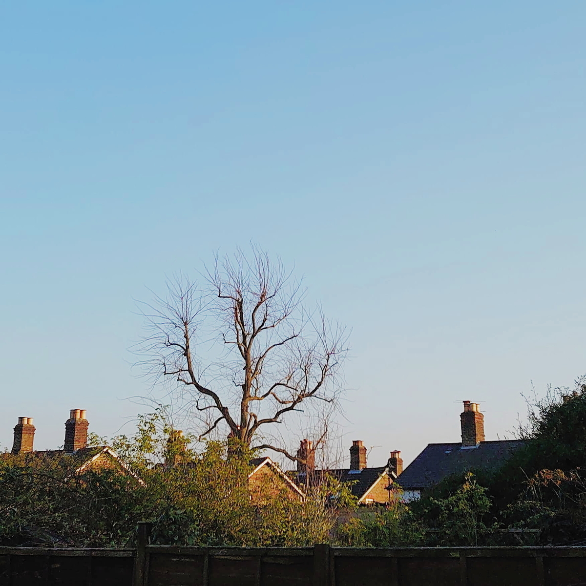 f:id:tomoeagle:20200328060200j:plain