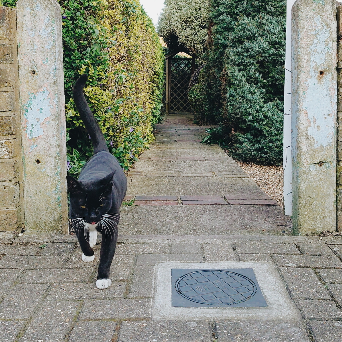 f:id:tomoeagle:20200328060308j:plain