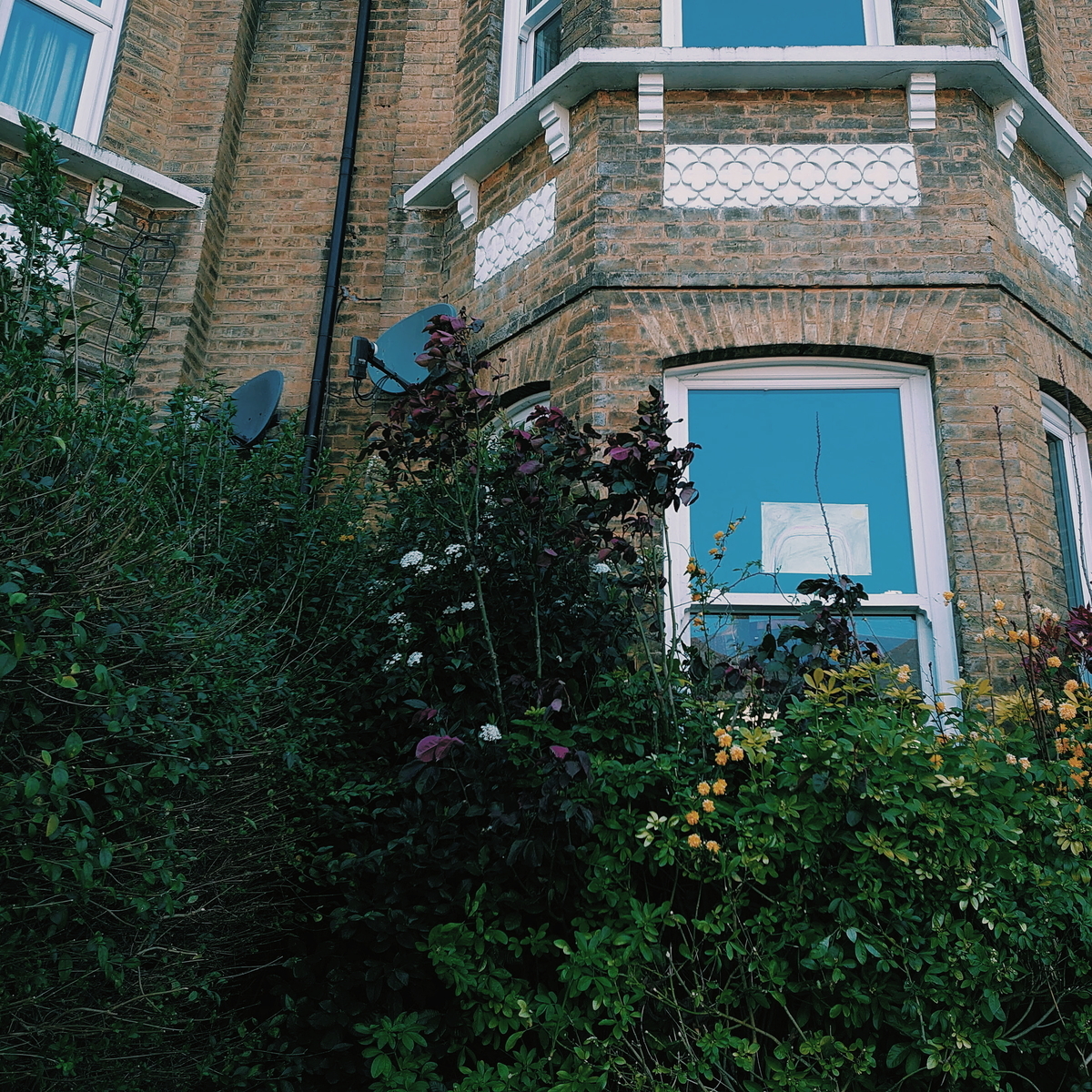 f:id:tomoeagle:20200328061054j:plain