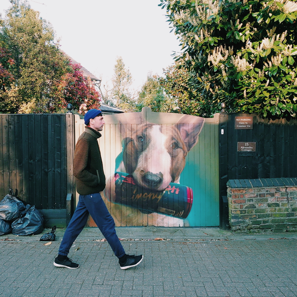 f:id:tomoeagle:20200328061120j:plain