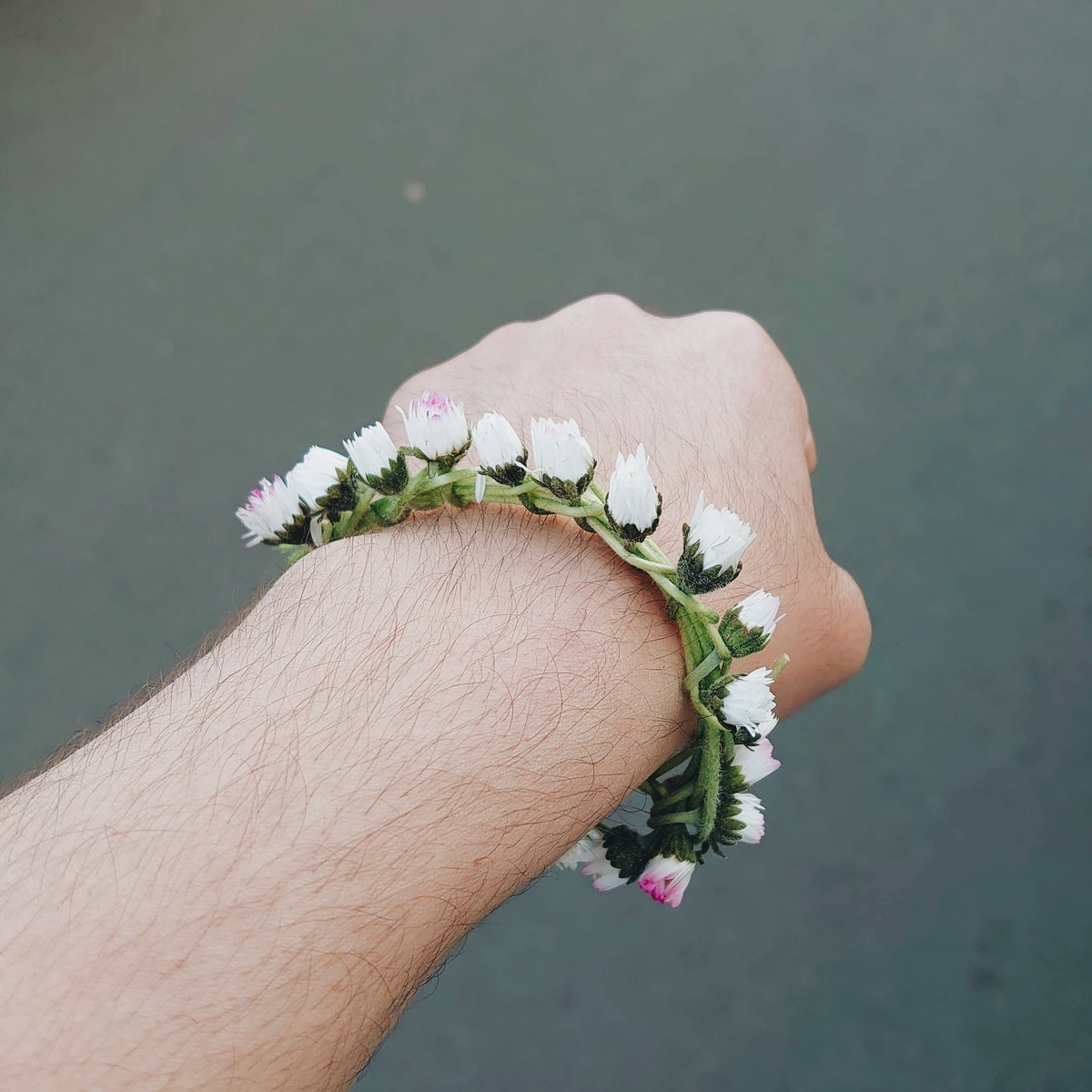 f:id:tomoeagle:20200415050641j:plain f:id:tomoeagle:20200415050641j:plain