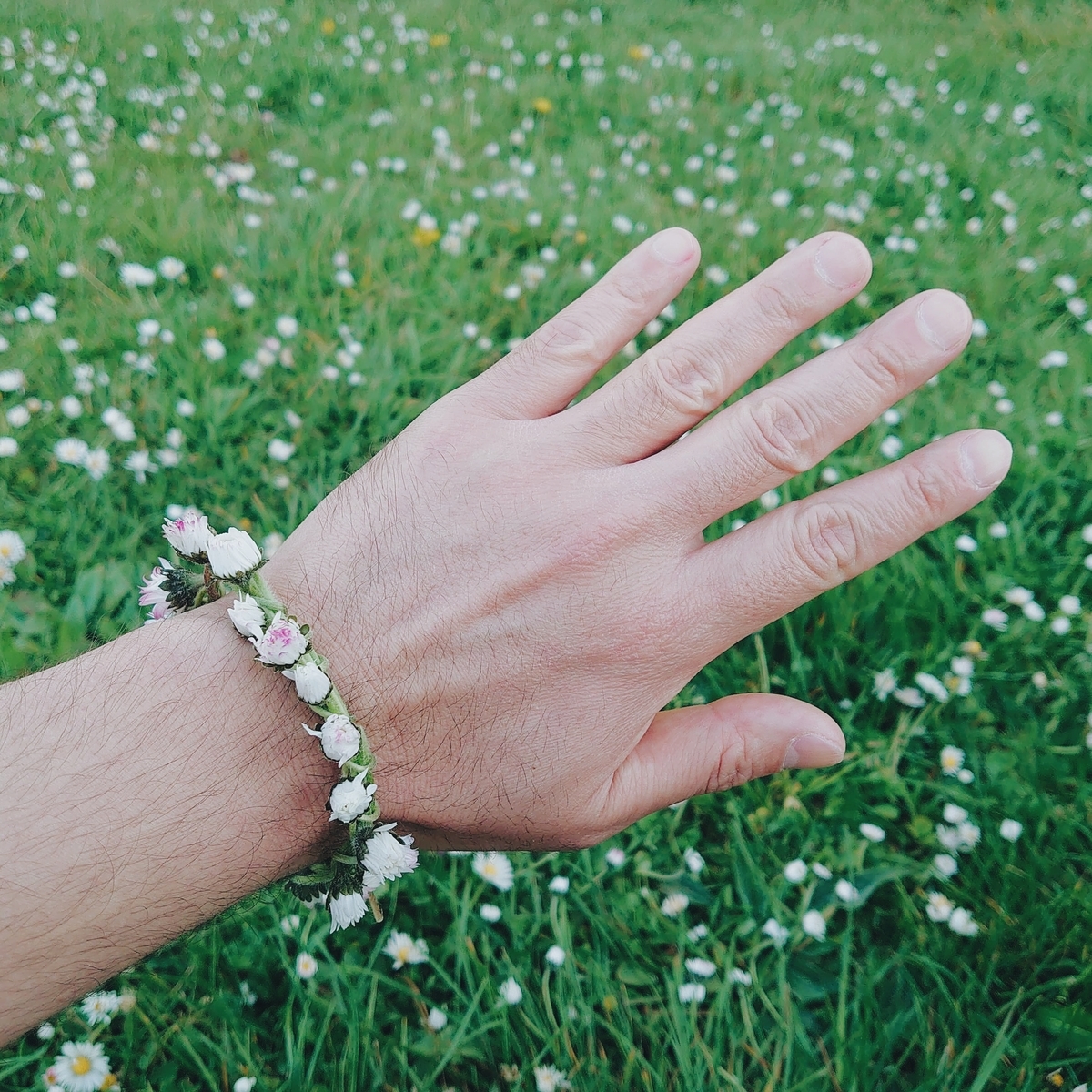 f:id:tomoeagle:20200415050749j:plain f:id:tomoeagle:20200415050749j:plain