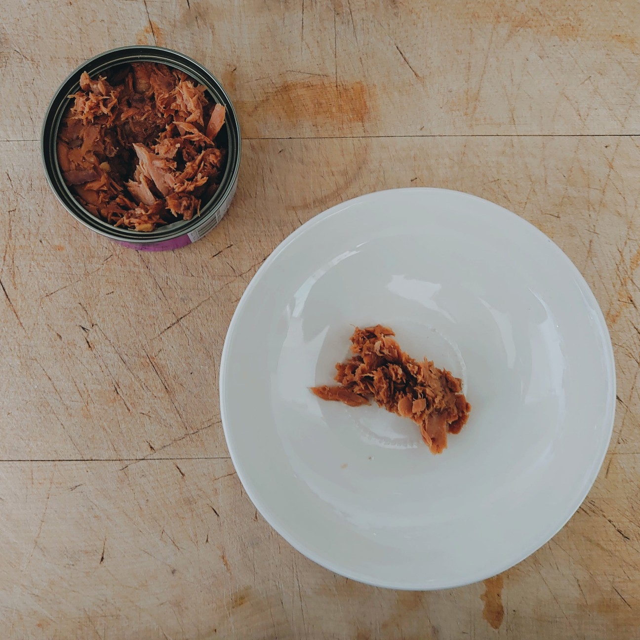 f:id:tomoeagle:20200505230124j:plain