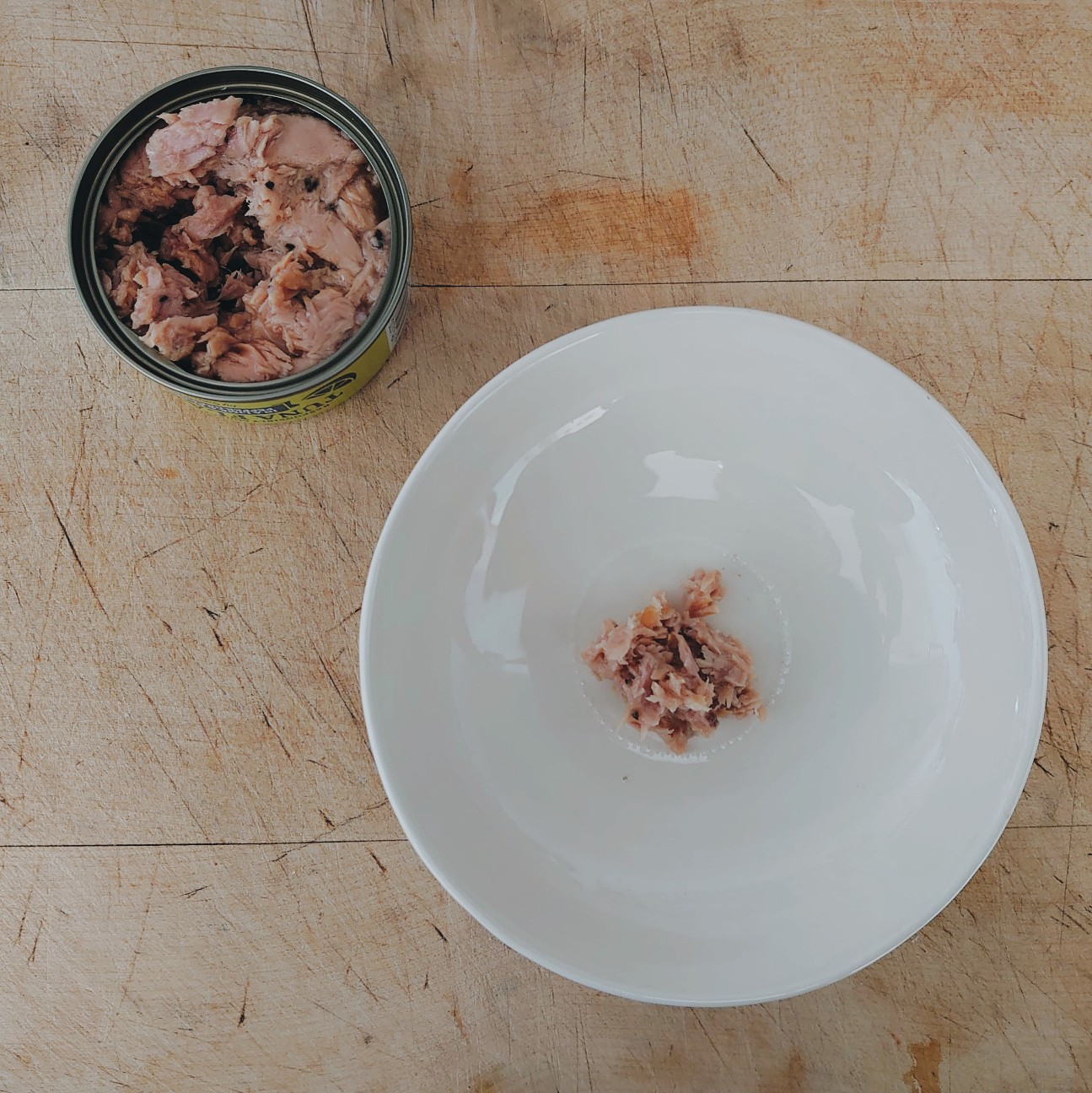 f:id:tomoeagle:20200505230220j:plain