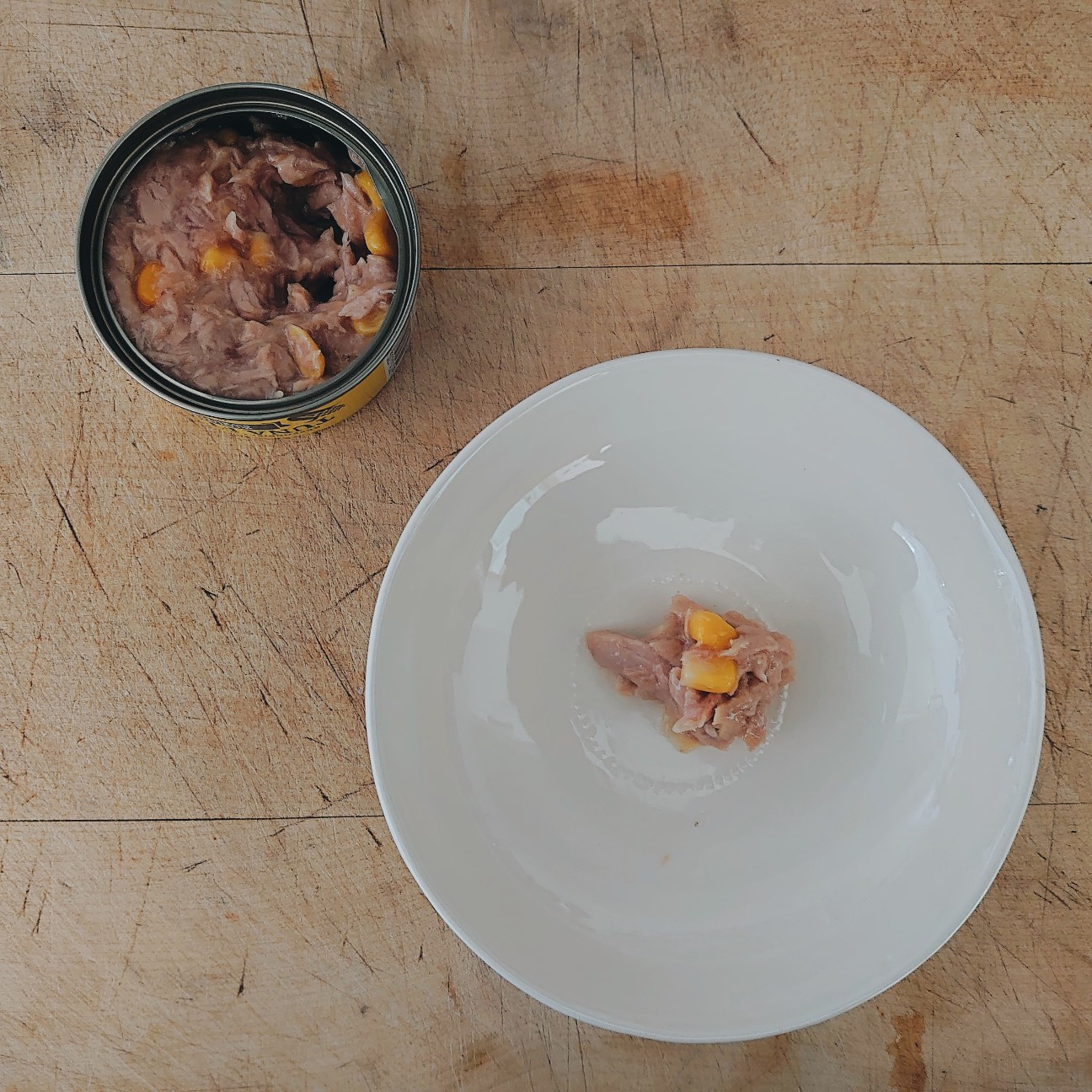 f:id:tomoeagle:20200505230453j:plain