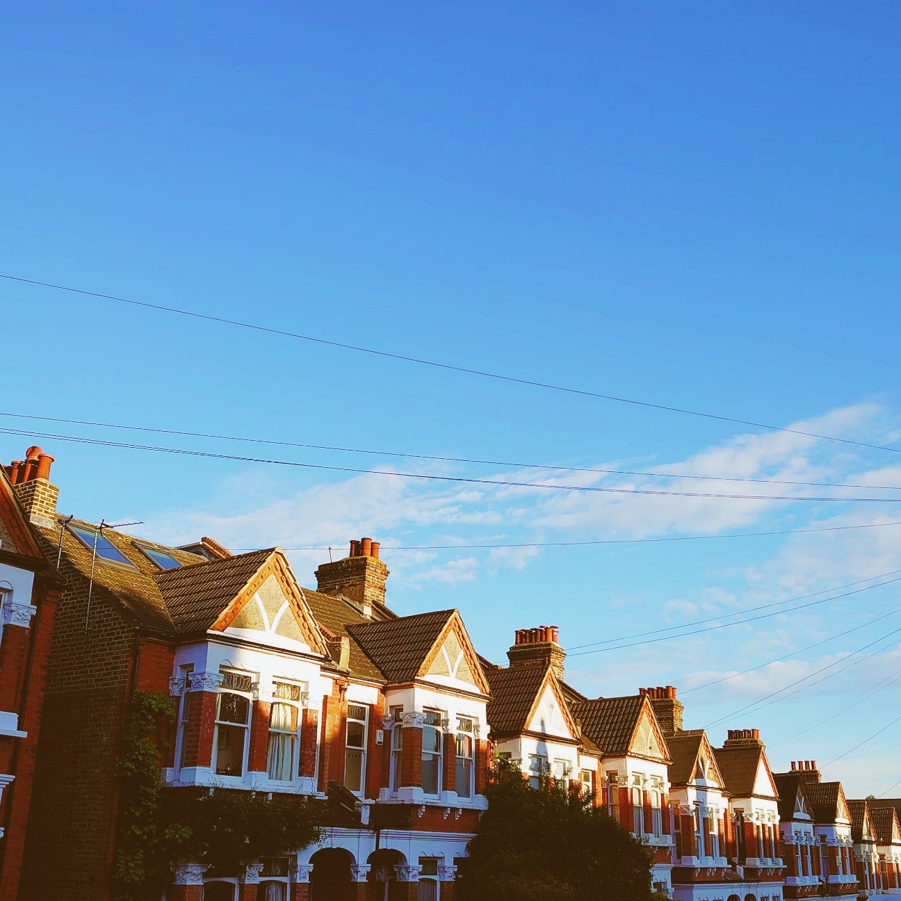 f:id:tomoeagle:20200506041349j:plain f:id:tomoeagle:20200506041349j:plain